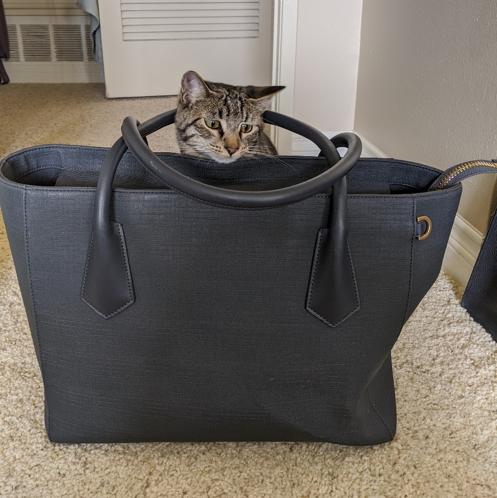 Dagne Dover Signature Tote